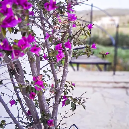 Rosa Ibiza, Private Pool, 10 Minutes From The Villa Santa Gertrudis (Ibiza)