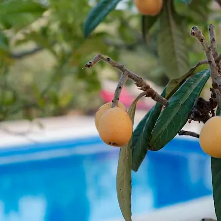 Villa Rosa Ibiza, Private Pool, 10 Minutes From The Santa Gertrudis (Ibiza)